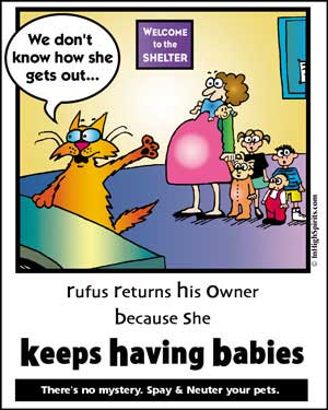 Neuter Your Pet